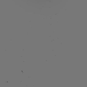 Meet your Posher, Daisy